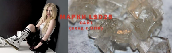 ECSTASY Богданович