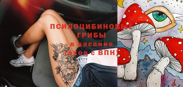 индика Белокуриха