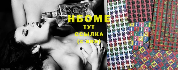 ECSTASY Богданович