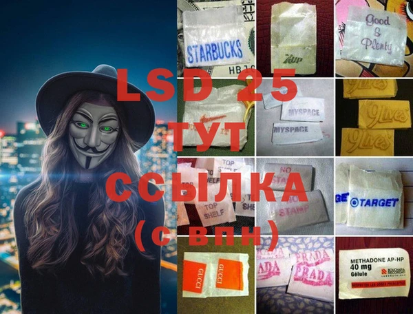 ECSTASY Богданович