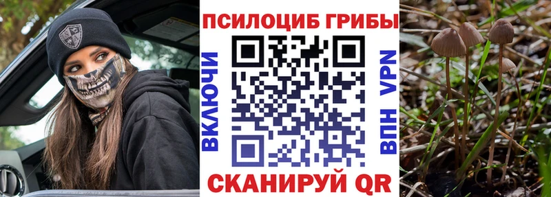 KRAKEN   Бородино  Галлюциногенные грибы MAGIC MUSHROOMS  купить наркотик 